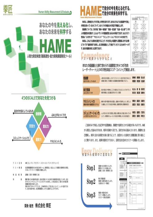 HAMEを用いた自己分析講座（診断のみ）のチラシ